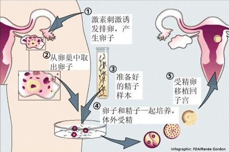 暖阳生殖医学中心
